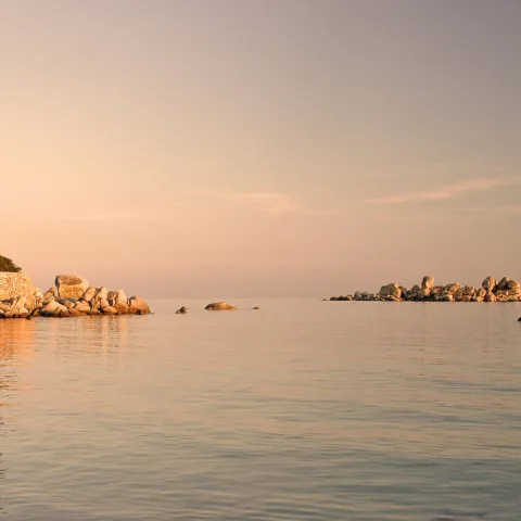 Pin parasol sur un îlot rocheux à Palombaggia, mer d'huile et lumière dorée de fin de journée (EXIF : 22 juin 2005, 19 h 07).