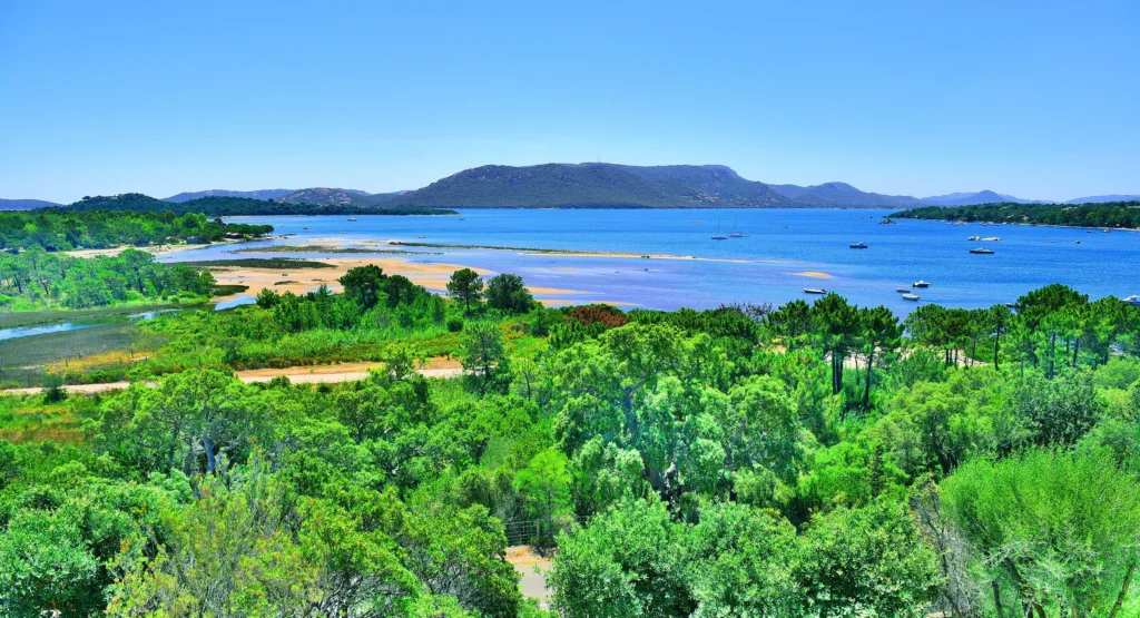 Le golfe de Porto-Vecchio vu des hauteurs : eau bleue, bancs de sable, voiliers au mouillage et maquis au premier plan (juin 2017).